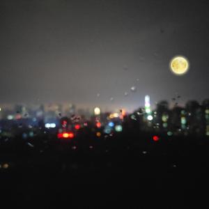 工本口子库免费漫画版下拉式
